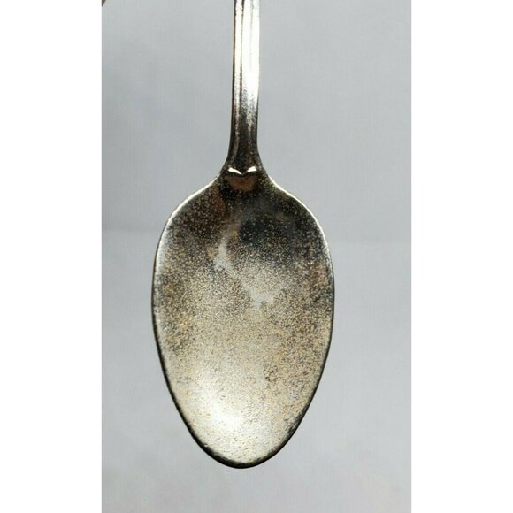 Reversing Falls Saint John NB Mini Collectible Spoon - Unique Home Décor - Picture 4 of 8